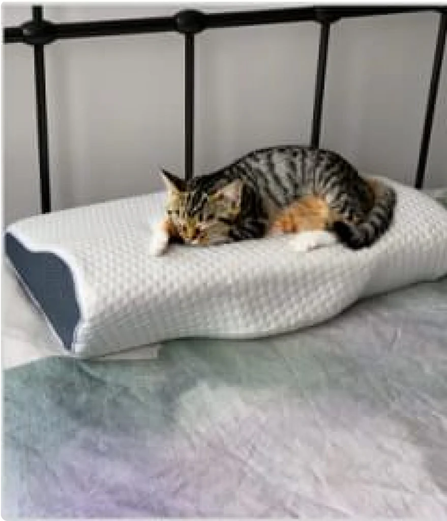 Customer with pillow